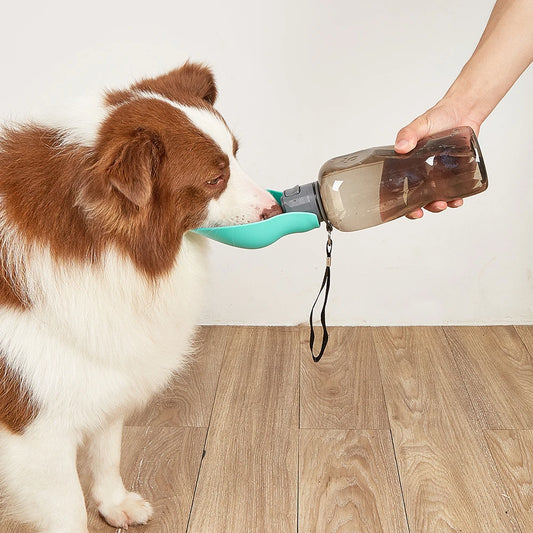 Portable Dog Water Bottle