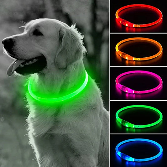 Led Light Pet Collar Detachable